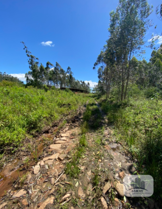 Chácara em Presidente Lucena