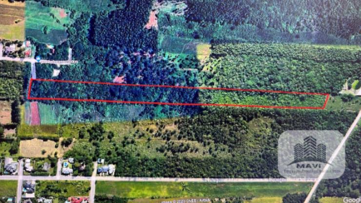 Área de Terra em Ivoti