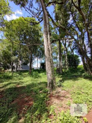 Terreno de Esquina no Bairro Harmonia