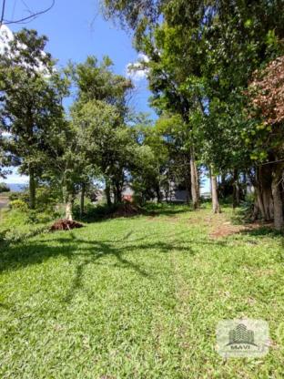 Terreno de Esquina no Bairro Harmonia