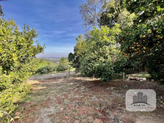 Casa no Bairro Jardim Panorâmico, 800m²