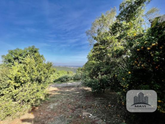 Casa no Bairro Jardim Panorâmico, 800m²