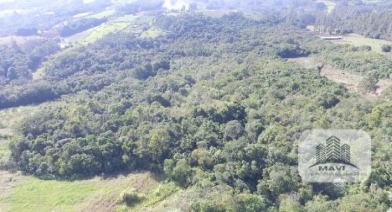Área de terras a venda em Presidente Lucena, 5,64 hectares