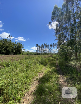 Chácara em Presidente Lucena