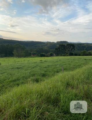 Área de terras em Lindolfo Collor, 4.000m²