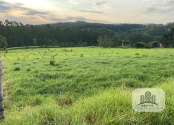 Área de terras em Lindolfo Collor, 4.000m²