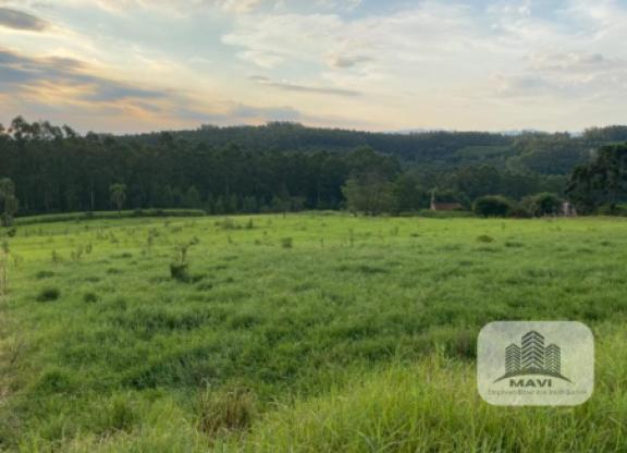Área de terras em Lindolfo Collor, 4.000m²