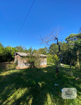Área de terras a venda em Presidente Lucena, 3 hectares