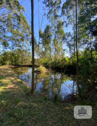 Área de terras a venda em Presidente Lucena, 3 hectares