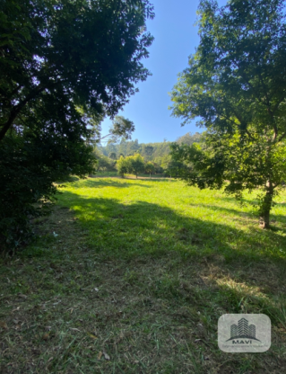 Área de terras a venda em Presidente Lucena, 3 hectares