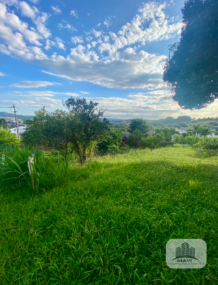 Terreno no Bairro Floresta, 433m²
