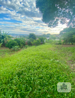 Terreno no Bairro Floresta, 433m²
