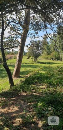 Sitio em Campestre