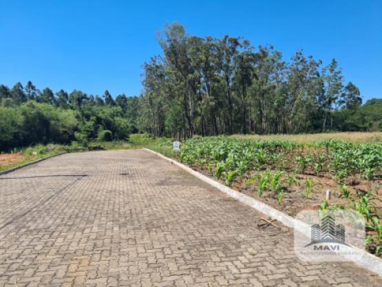 Terrenos em Lindolfo Collor