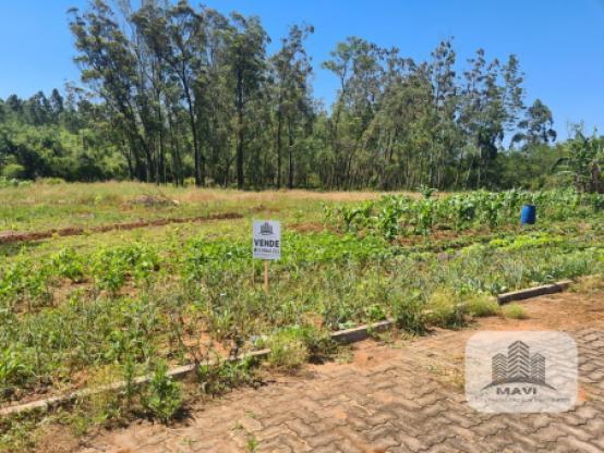 Terrenos em Lindolfo Collor