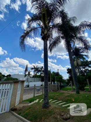 Casa no Bairro Cidade Nova, 572m²