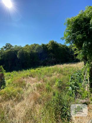 Terreno a venda em Ivoti, 1.675m²