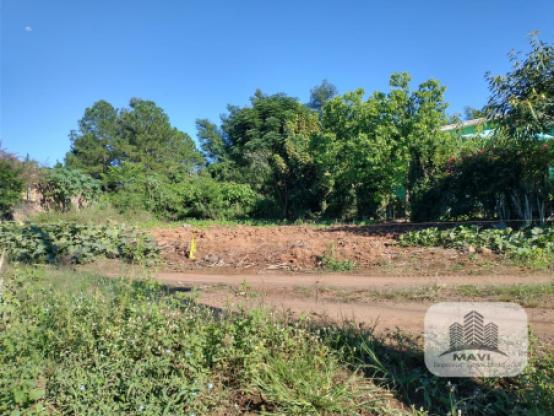 Terreno em Linha Nova 