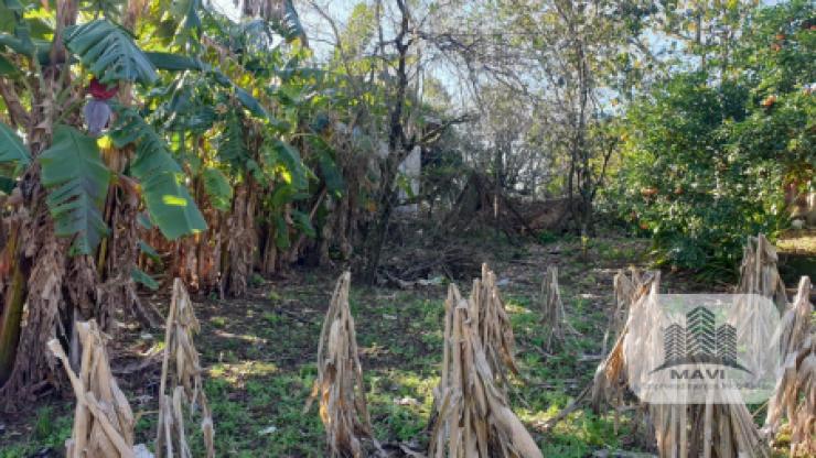 Lote de Terra/ Morada do sol