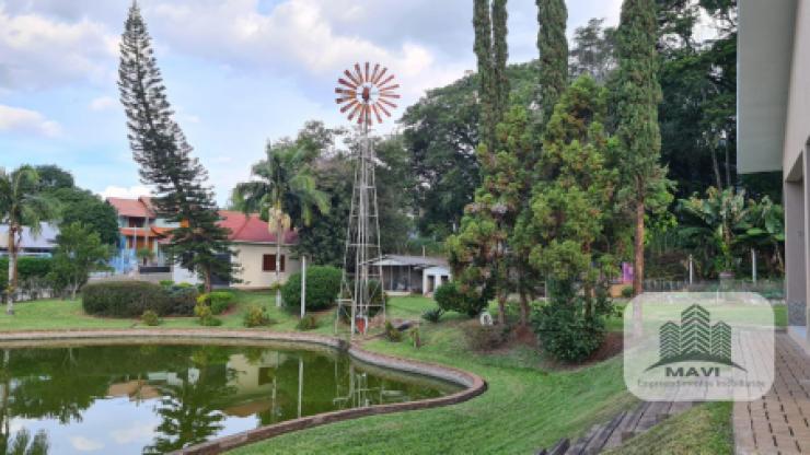 Sítio em Ivoti Bairro Centro