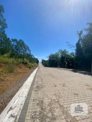 Jardim das Palmeiras Loteamento