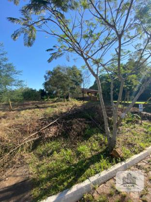 Terreno a venda no Bairro Concórdia