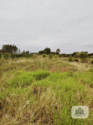 Área de terras a venda em Portão 2,4 Hectares