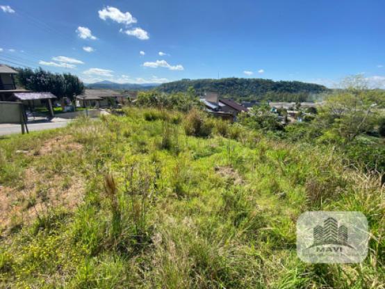 Terreno Lindolfo Collor