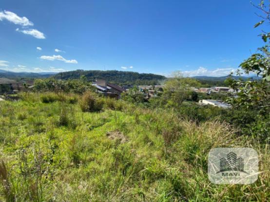 Terreno Lindolfo Collor