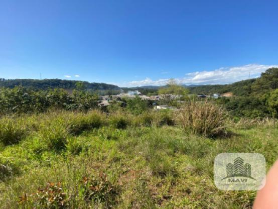 Terreno Lindolfo Collor