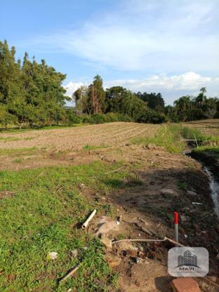 Sitio a venda em São José do Hortêncio, 2.500m²