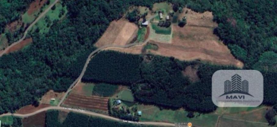 Áreas de terra a venda em Presidente Lucena, Morro do Pedro