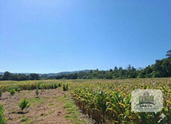 Áreas de terra a venda em Presidente Lucena, Morro do Pedro